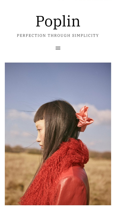 Poplin theme for Fabrik portfolio website