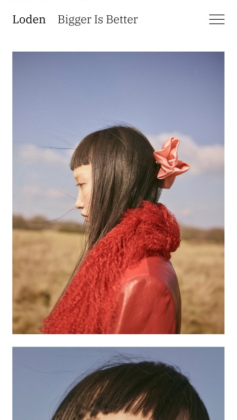 Loden theme for Fabrik portfolio website