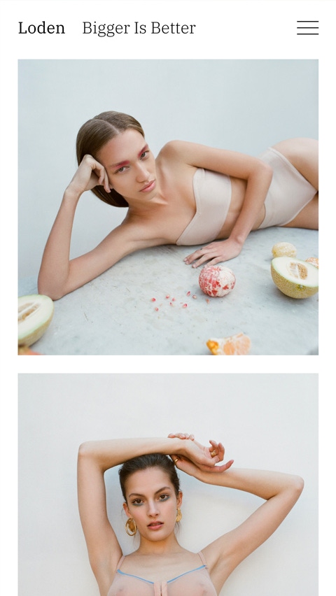 Loden theme for Fabrik portfolio website