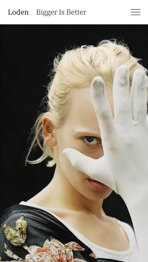 Loden theme for Fabrik portfolio website