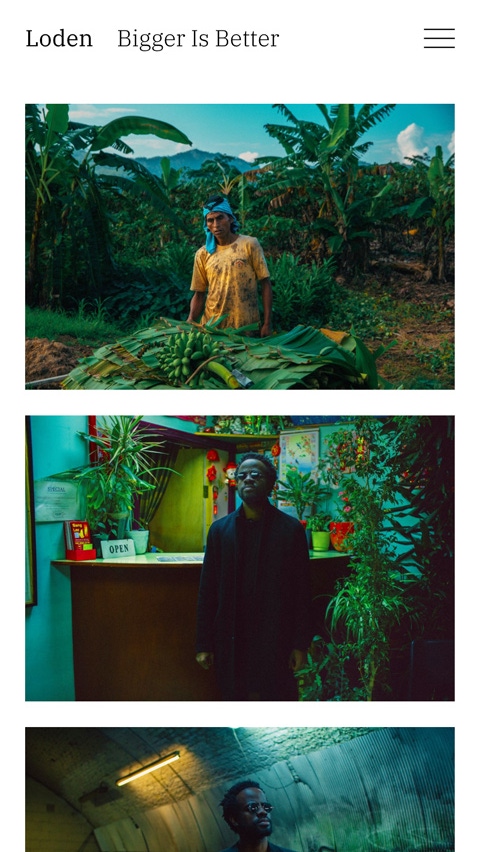 Loden theme for Fabrik portfolio website