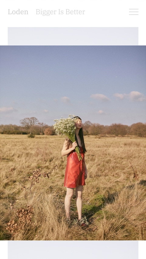 Loden theme for Fabrik portfolio website