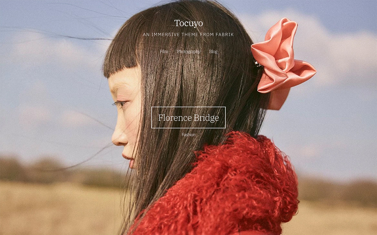 Fabrik stylist tocuyo theme