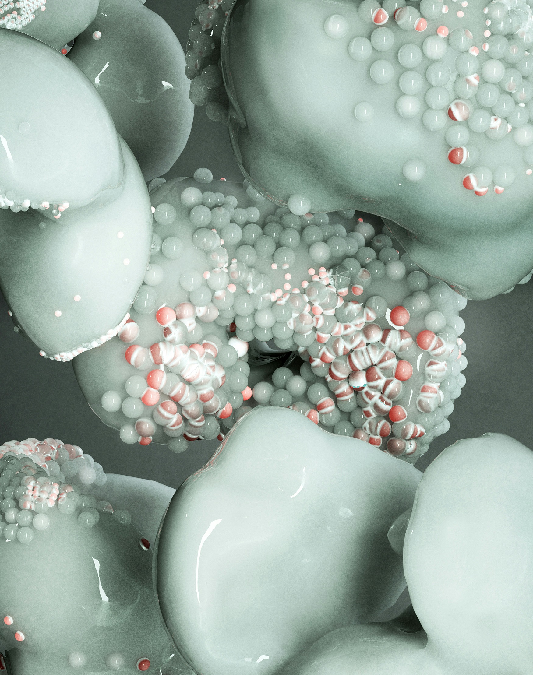 Raquel Villa showcase